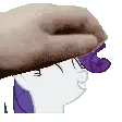 RarityPet RarityPet