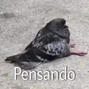 Pensando