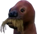 seal seal