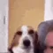 DogEvilSmile