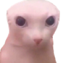 bimgus Discord emoji