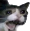 CatScream Discord emoji