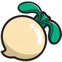 turnip