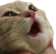 catwoooooo Discord emoji
