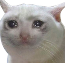 catsad Discord emoji
