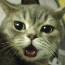 catjustcat Discord emoji