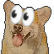 zyruviEyes