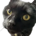 bethcat