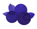 smp_blueberry