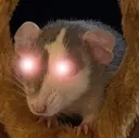 handovertheyogisrat