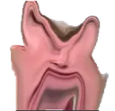 ANGRI