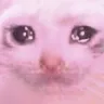 LY_despairpink