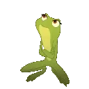 tianafrogno