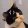 procesanding_FDB Discord emoji