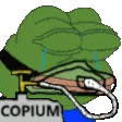 COPIUMOD