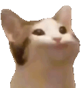 cattalk Discord Emoji