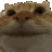 cat_Michiyesssss cat_Michiyesssss