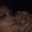 aa_Kissing2 Discord emoji