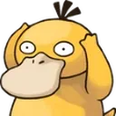 NotLikeDuck NotLikeDuck