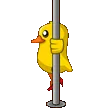 DuckSwing