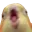 birbAAAA