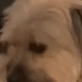 remy_jamming