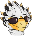 ySunglasje