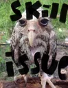 skillissue skillissue