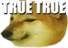 dogetruetrue