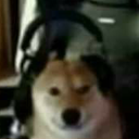 DogGamer Discord emoji