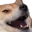 :hah: