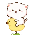 cat3