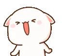 cat1