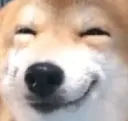 DoggoGrin