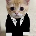 eldongato