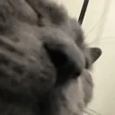 SendToePics