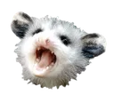 possumyell