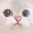 watcat
