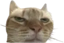 DisappointedDubby