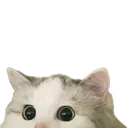 KitPeep KitPeep