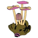 witchymushroom