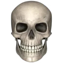 skull2