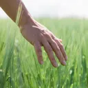 ytouchgrass