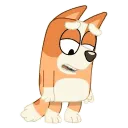 BingoSigh BingoSigh