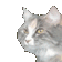 pitoujam Discord emoji