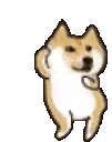 doge_dance