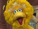 BigBird Discord emoji