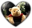 robinheart