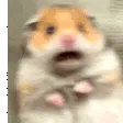 scaredhammy