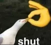 shut
